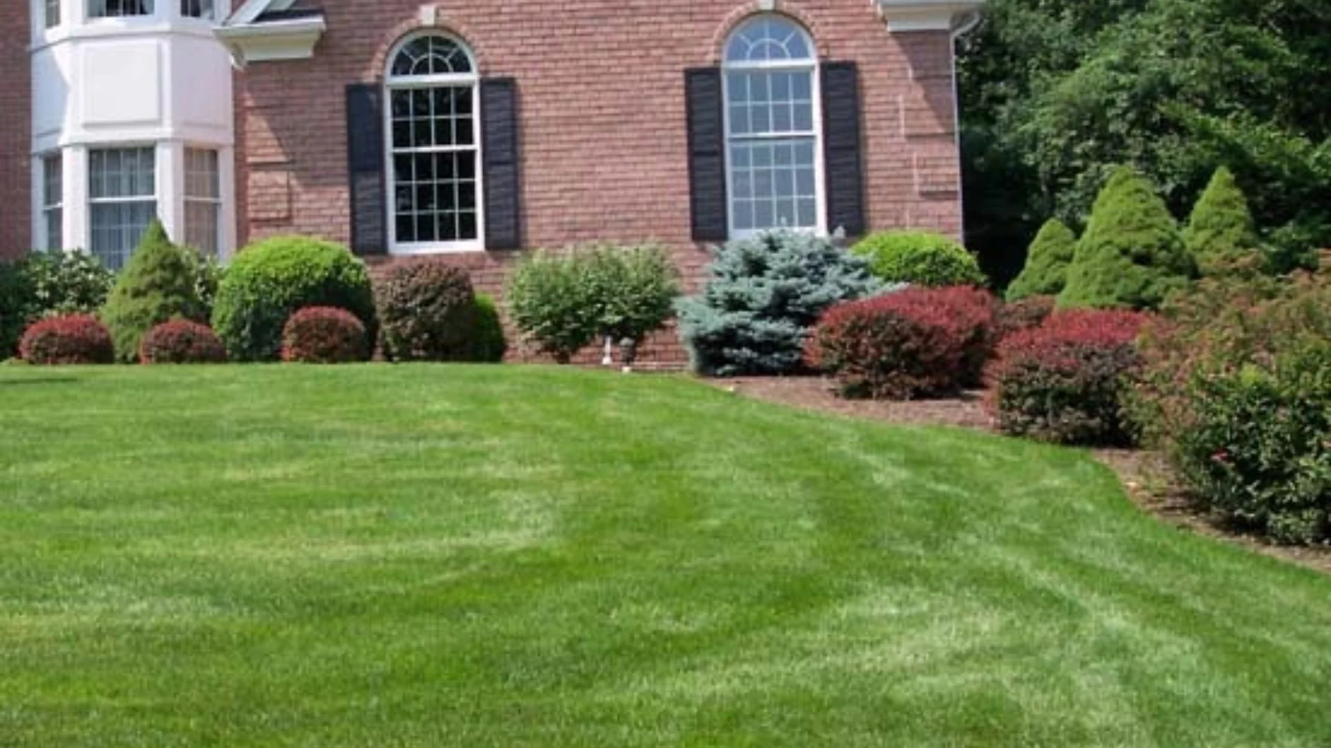 Here’s What To Do With the Cores Left on Your Lawn After Aeration
