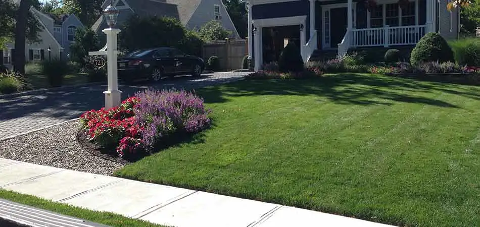 Westfield weed-free front lawn after weed control treatments from Stream Line Lawn & Landscape.