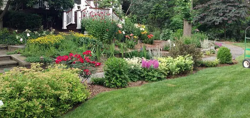 Property owners in Watchung need to carefully consider what plants they install in their landscaping.