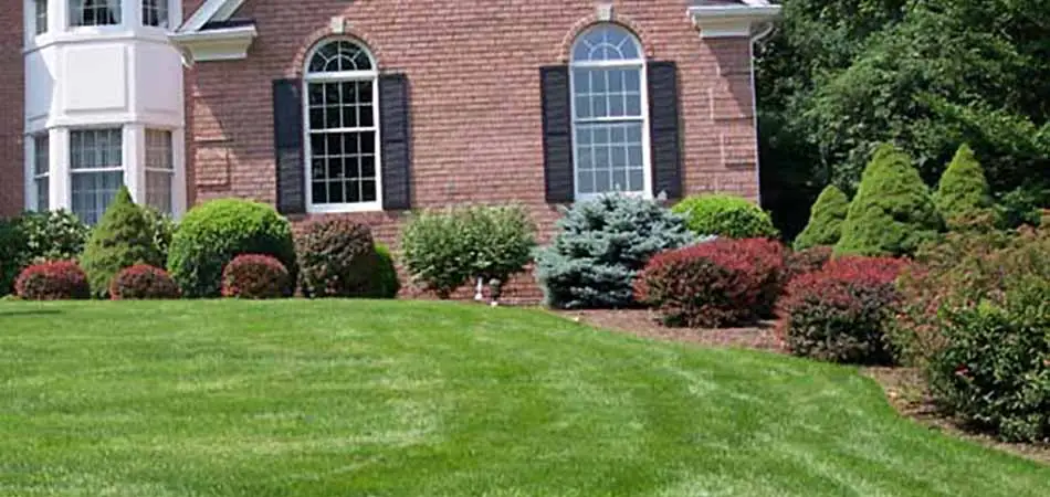 Recently mowed lawn in Westfield, NJ.