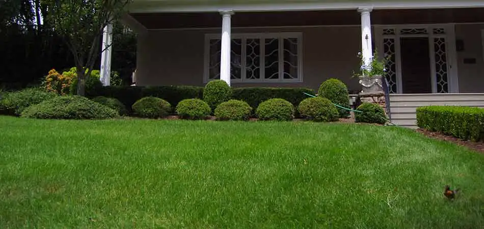 Lawn Care Tips for Winter in Watchung, NJ
