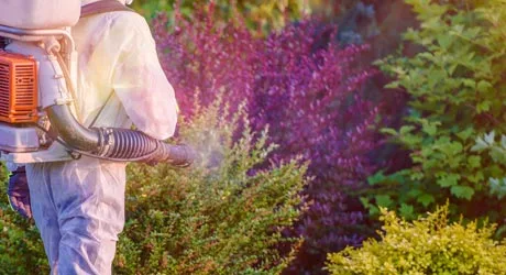 Spraying a property in Westfield, NJ for mosquitos