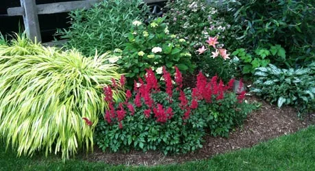 New landscaping planted at a home in Westfield, NJ.