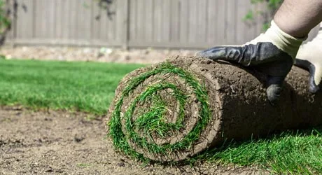 New sod installation at a home in Warren, NJ.