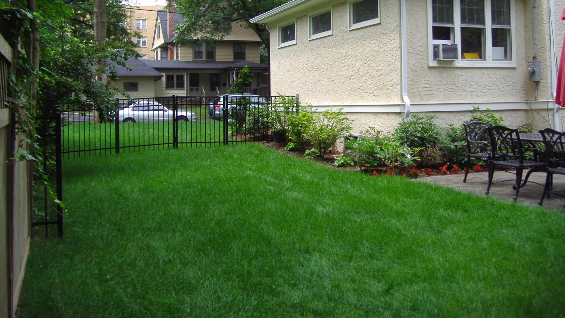 Do Weed Control Treatments Damage Your Lawn?