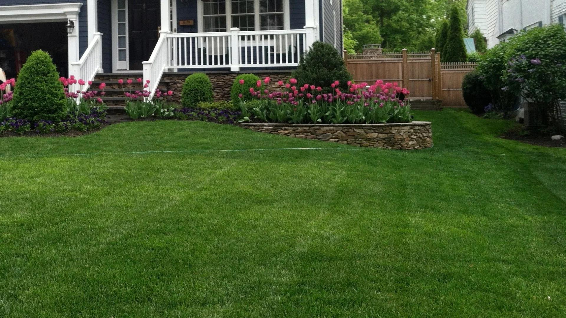 What Can Cause Your Lawn to Turn Brown?