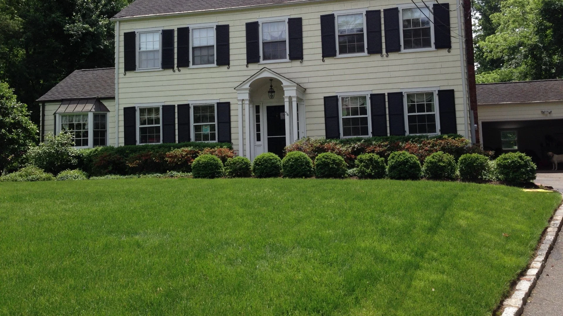 Stay One Step Ahead of Weeds With Pre-Emergent Weed Control