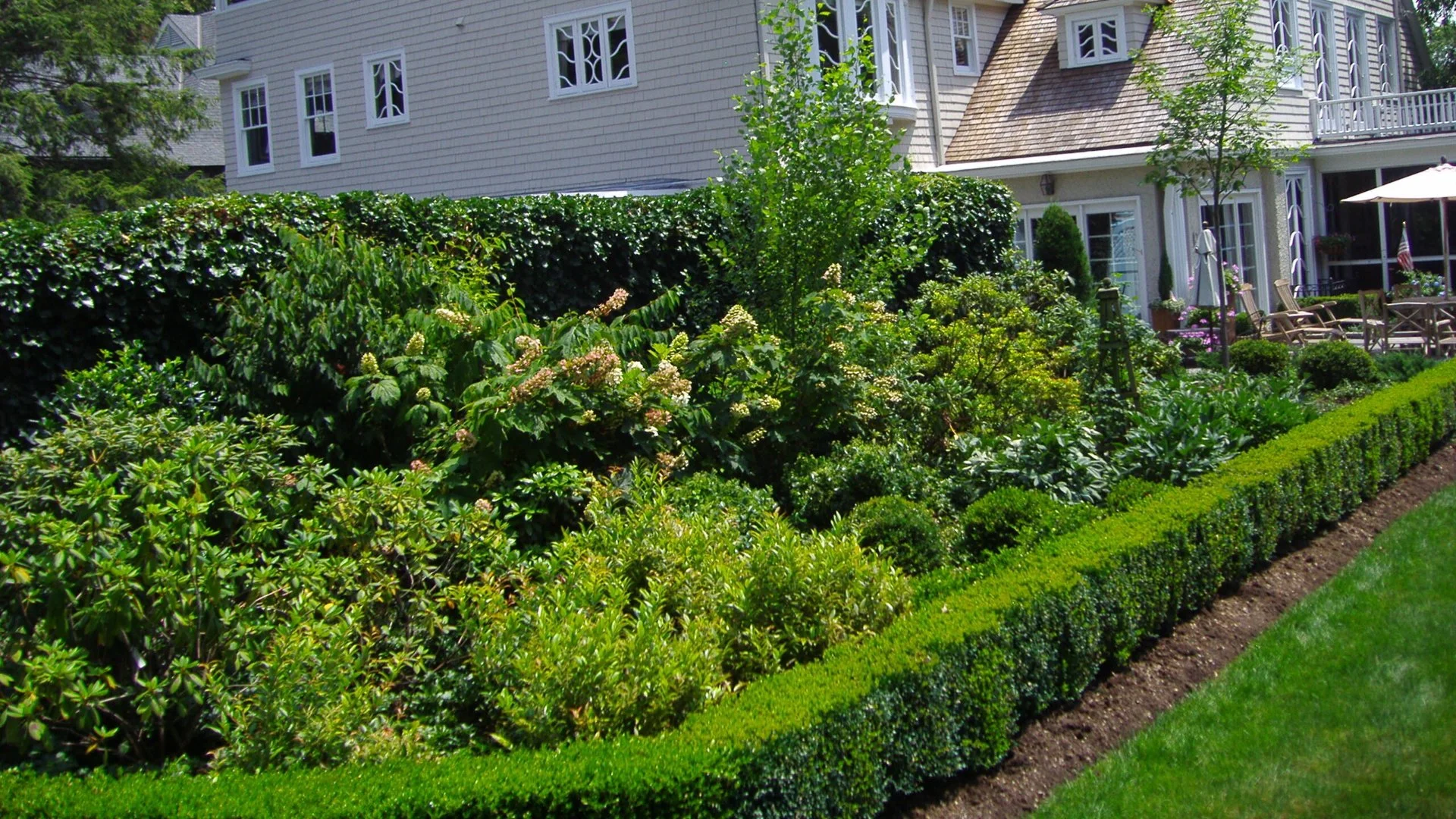 How Can You Tell If You Over-Pruned Your Plants?